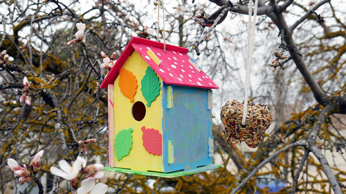Casita para pájaros